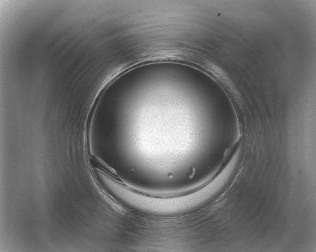 X0000066121234200603241601