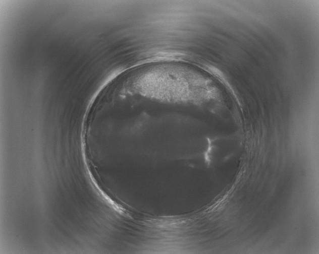 X0000066121235200603241602