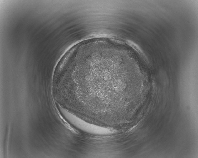 X0000066121236200603241602