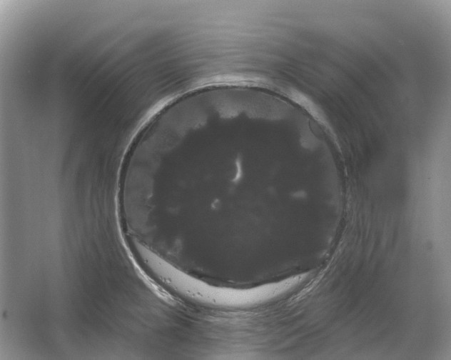 X0000066121237200603241602