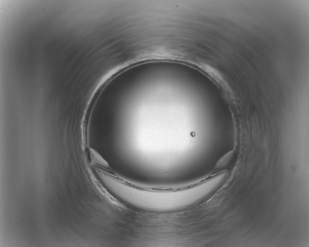 X0000066121238200603241602