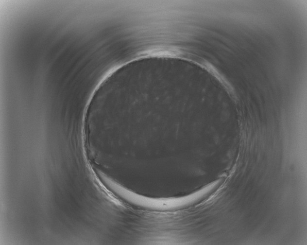 X0000066121240200603241602