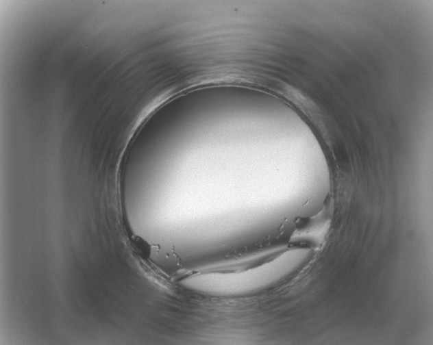 X0000066121242200603241602