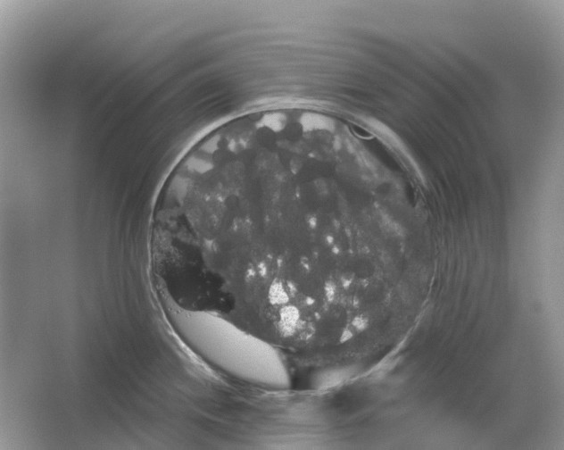 X0000066121244200603241602