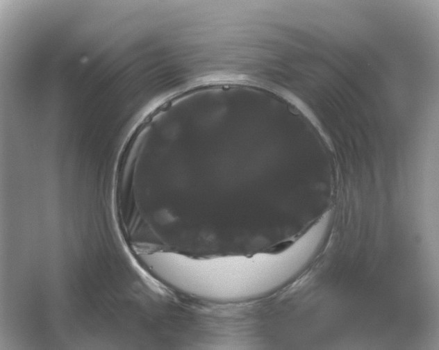 X0000066121245200603241602