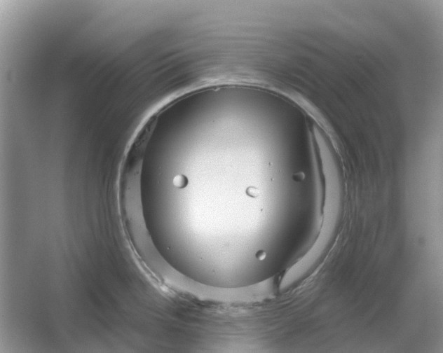 X0000066121246200603241602