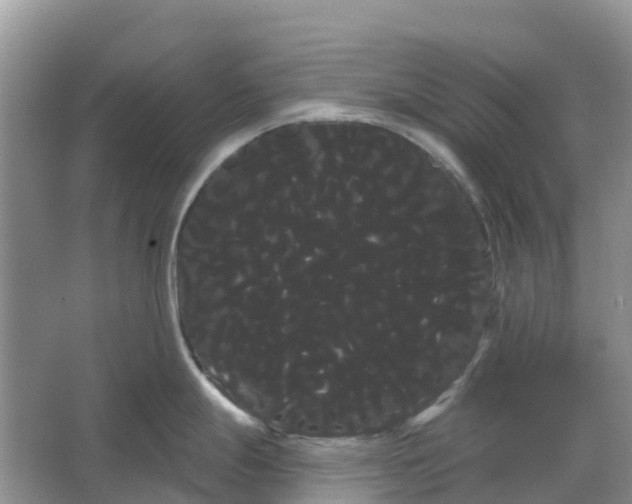 X0000066121247200603241602