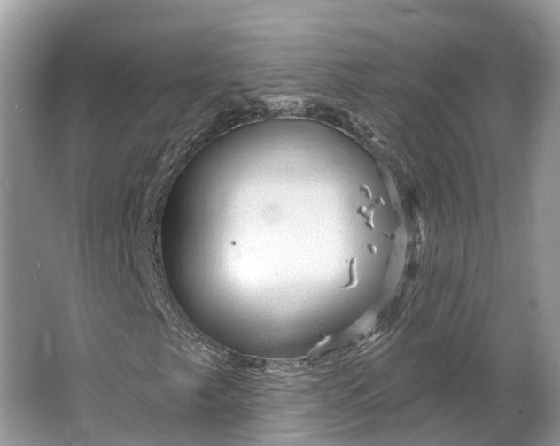 X0000066121249200603241601