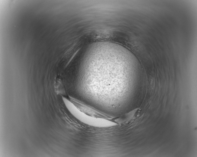 X0000066121250200603241601