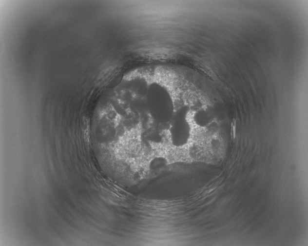 X0000066121251200603241601