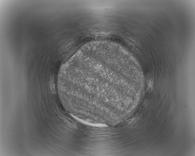 X0000066121252200603241601