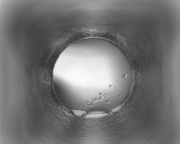 X0000066121253200603241601