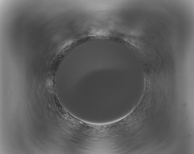 X0000066121254200603241601