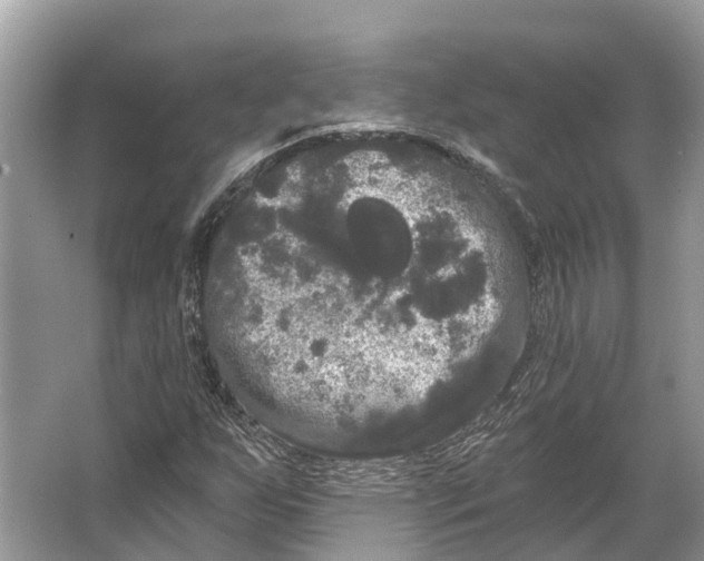 X0000066121255200603241601