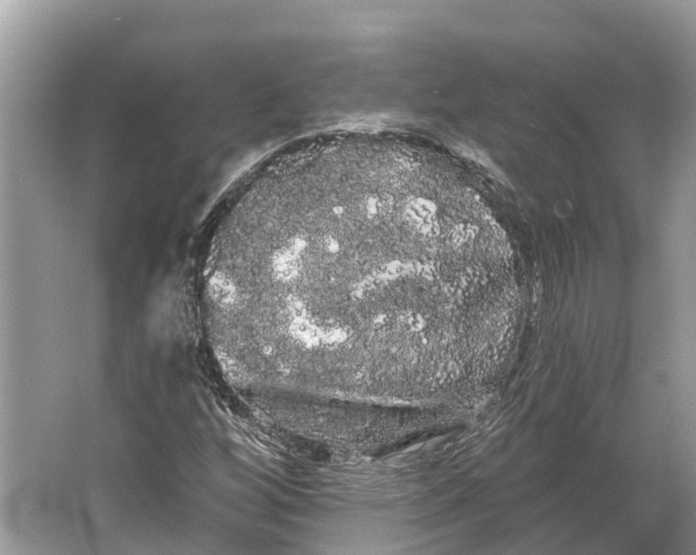 X0000066121256200603241601