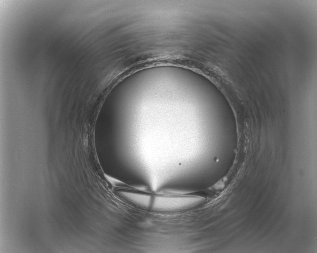 X0000066121257200603241601