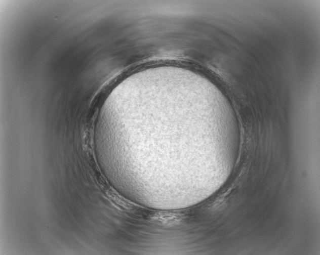 X0000066121258200603241601