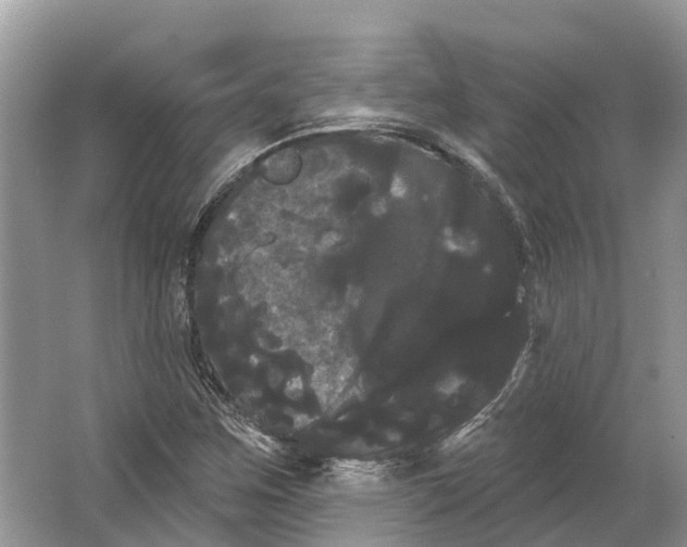 X0000066121259200603241601