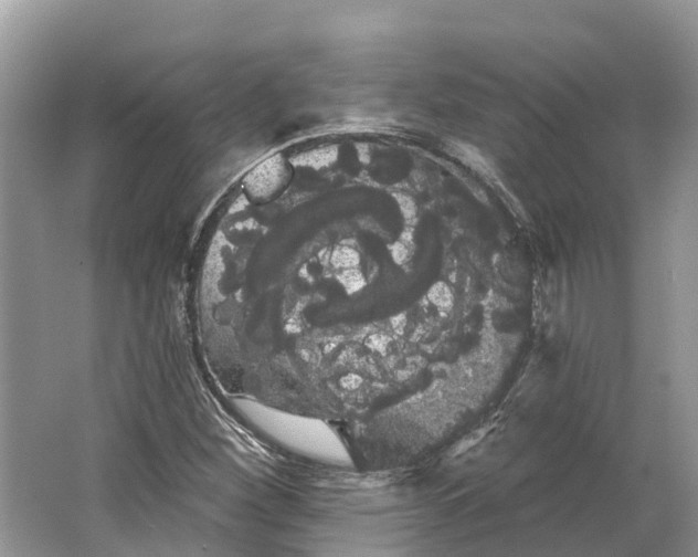 X0000066121260200603241601