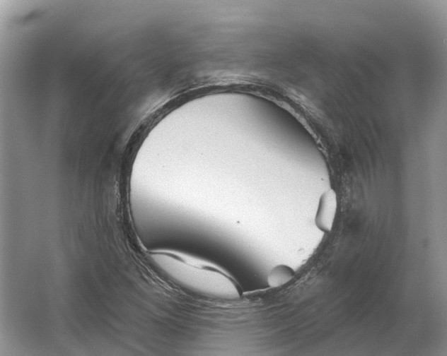 X0000066121261200603241601