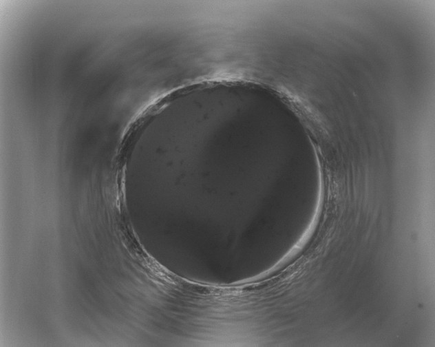 X0000066121262200603241601