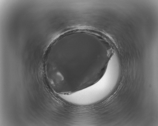 X0000066121263200603241601