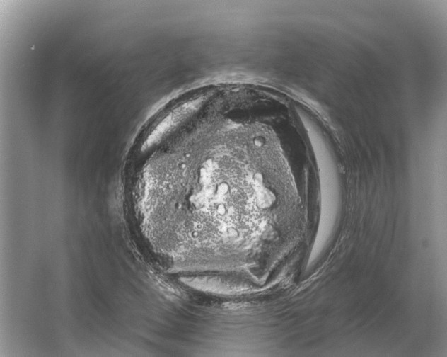 X0000066121264200603241601