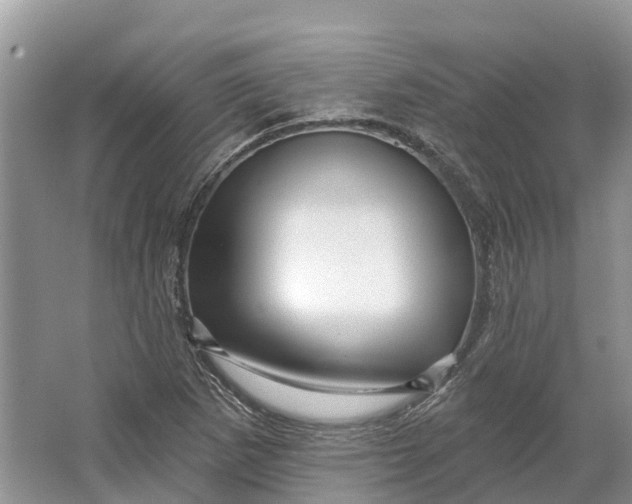 X0000066121265200603241601