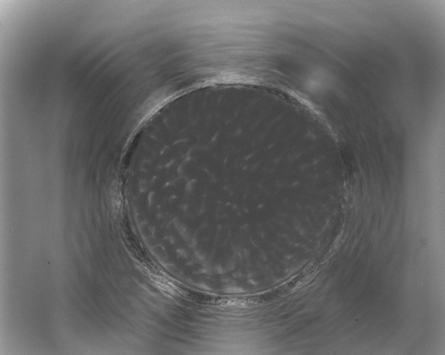 X0000066121266200603241601