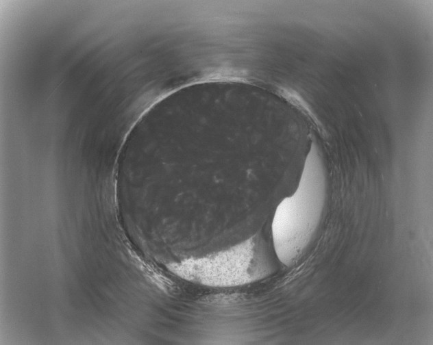 X0000066121268200603241601