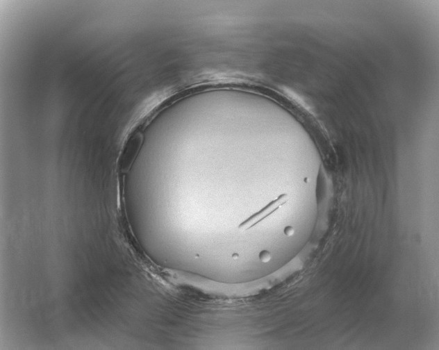 X0000066121269200603241601