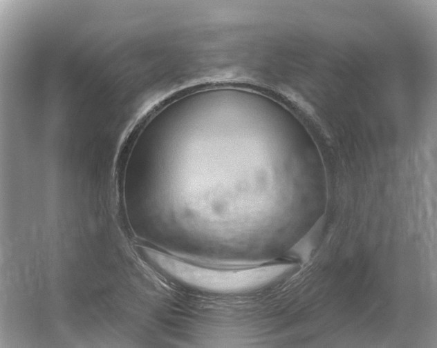 X0000066121270200603241601