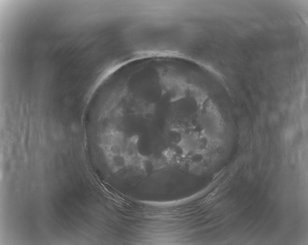 X0000066121271200603241601