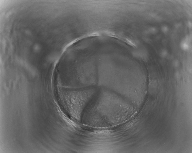 X0000066121272200603241601