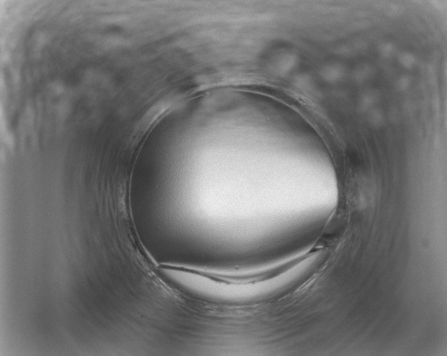 X0000066121273200603241601