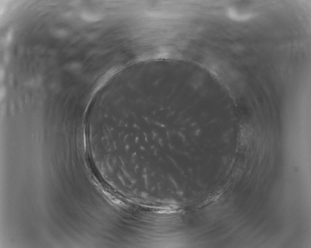 X0000066121274200603241600