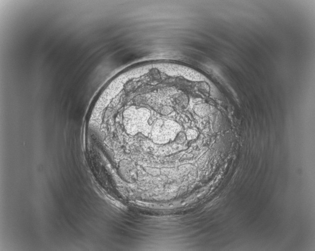 X0000066121276200603241600