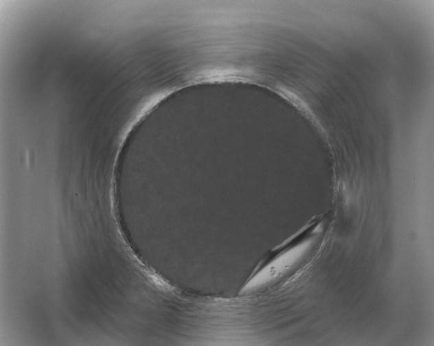 X0000066121277200603241600