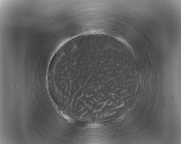 X0000066121278200603241600