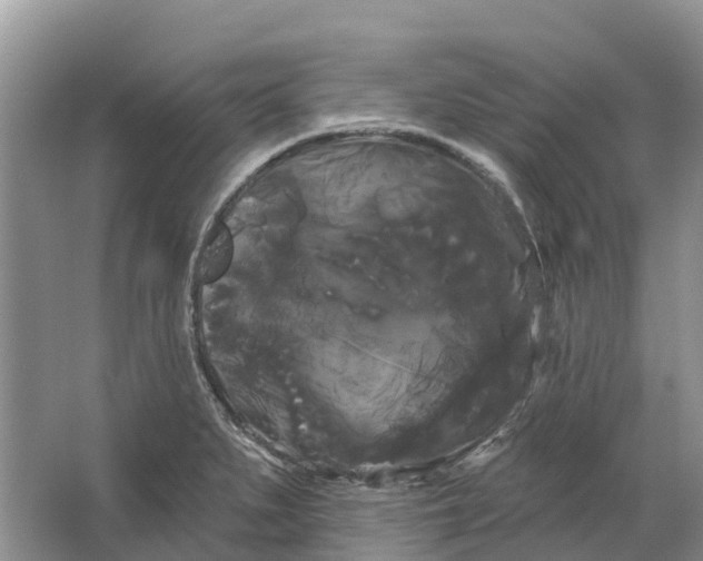 X0000066121279200603241600