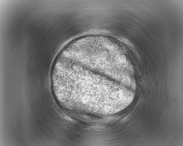 X0000066121280200603241600