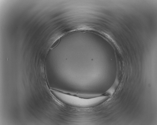 X0000066121281200603241600