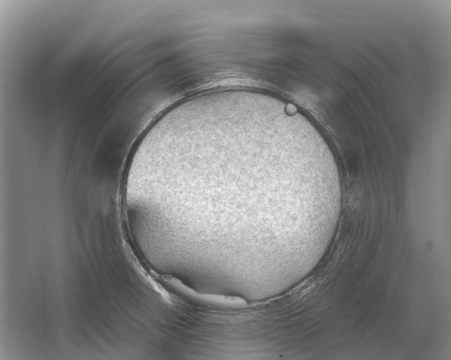 X0000066121282200603241600