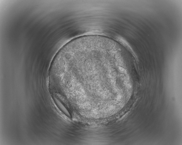 X0000066121284200603241600