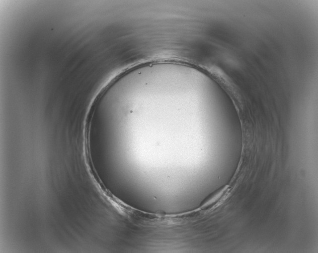 X0000066121286200603241600