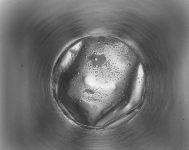 X0000066121288200603241600