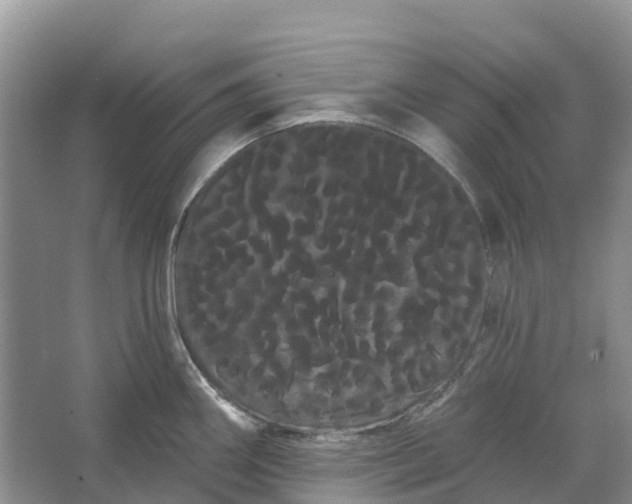 X0000066121290200603241600