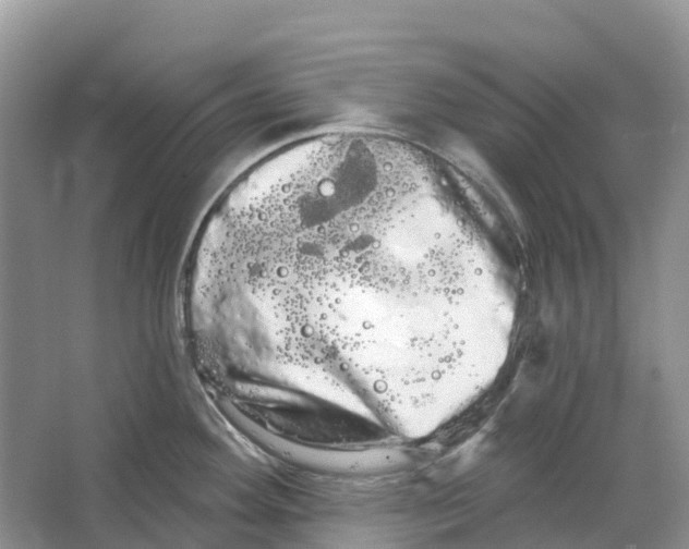 X0000066121292200603241600