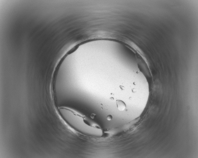 X0000066121293200603241600