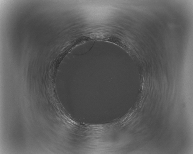 X0000066121297200603241559